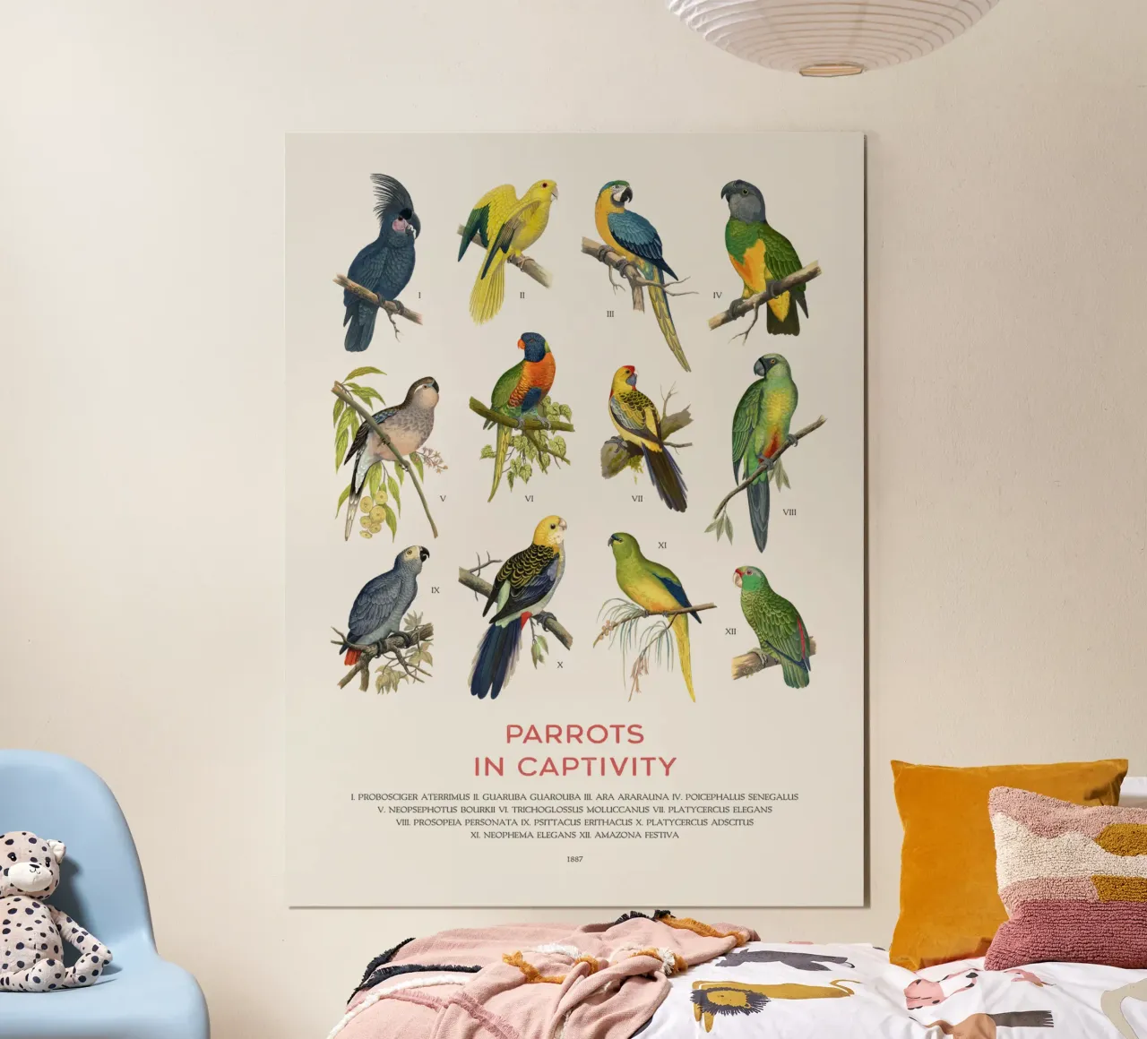 Types of Parrots chart hahnemühle by Vintagrafica