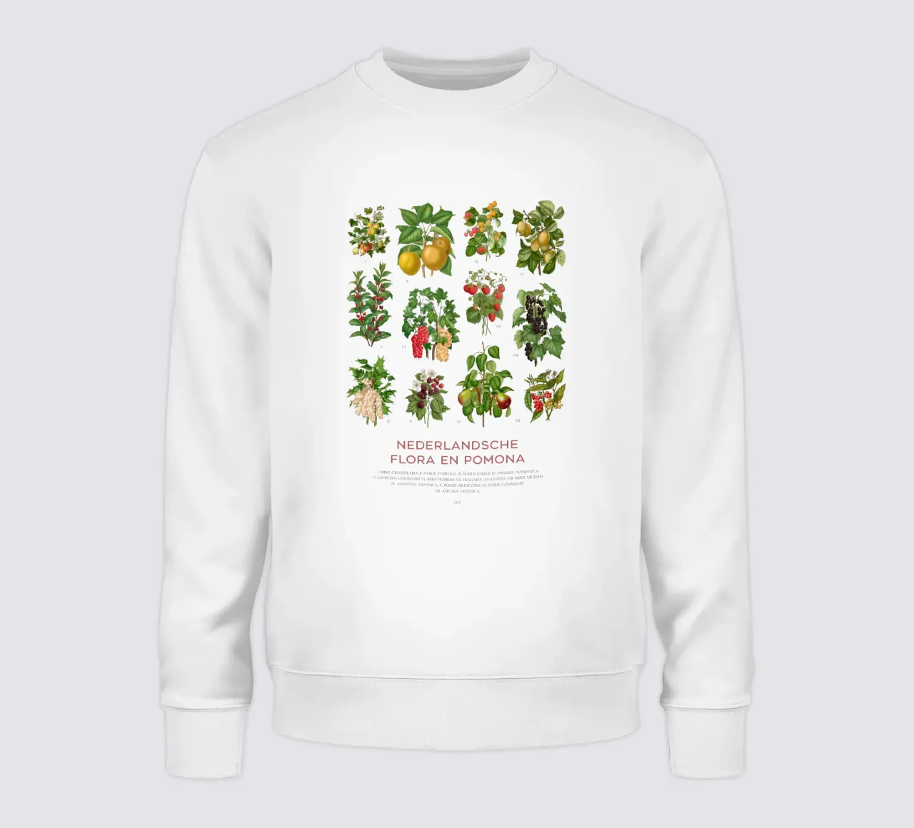 Grafico botanico moderno - Flora olandese felpa da Vintagrafica