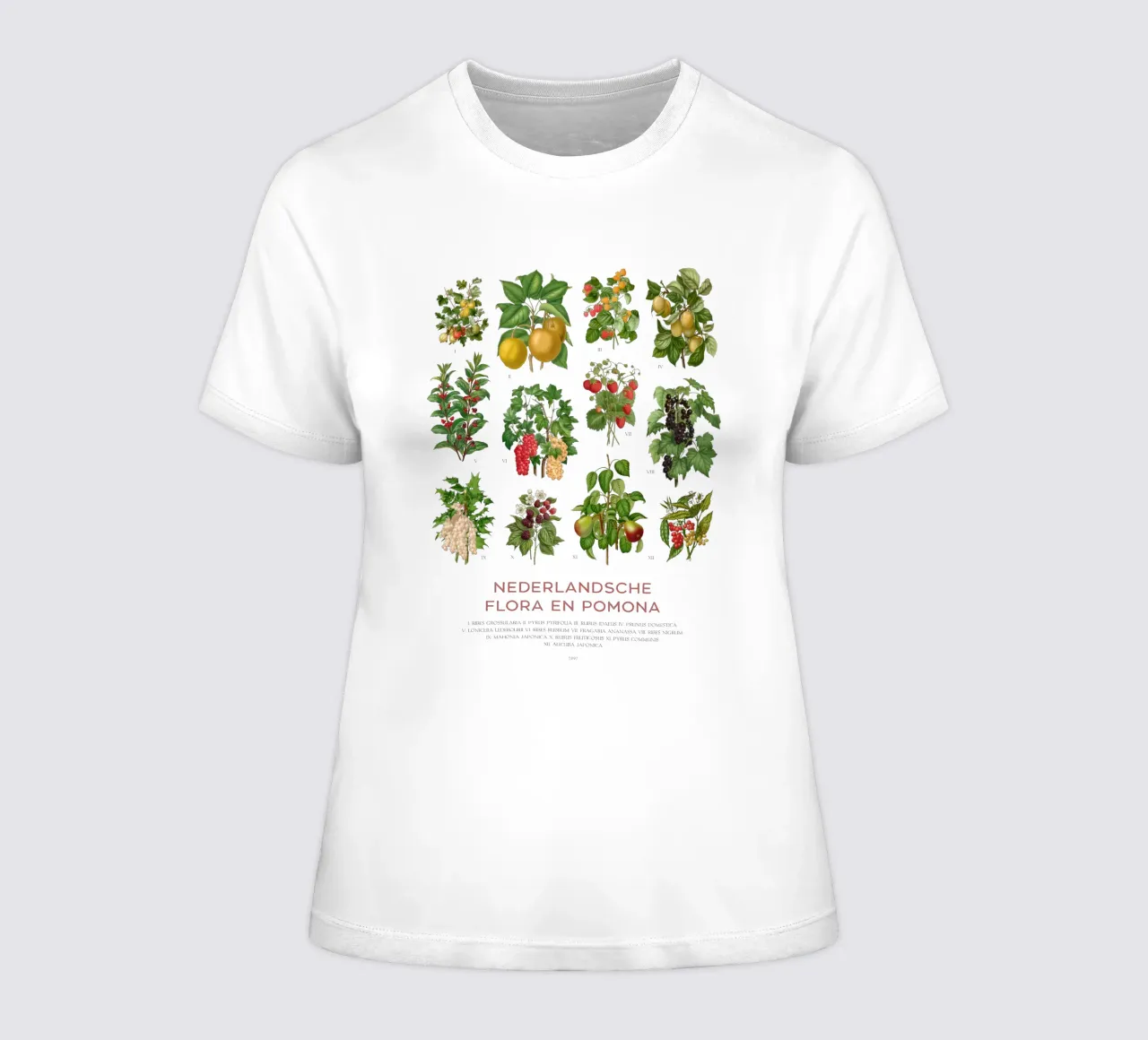 Grafico botanico moderno - Flora olandese t-shirt da donna da Vintagrafica