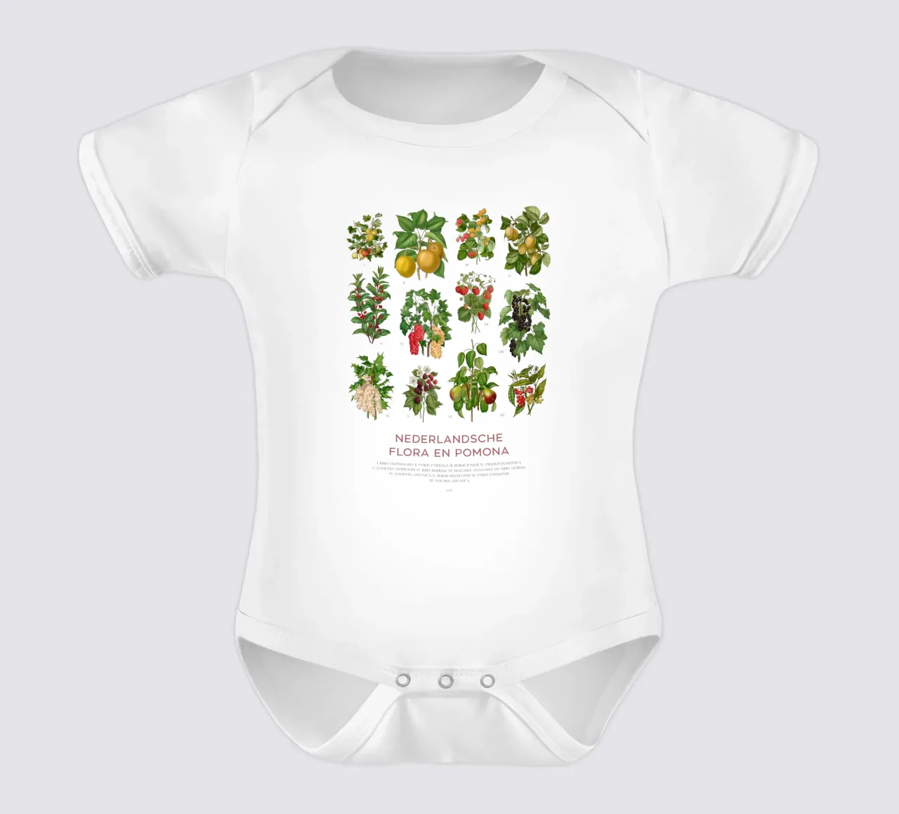 Grafico botanico moderno - Flora olandese body neonato maniche corte da Vintagrafica