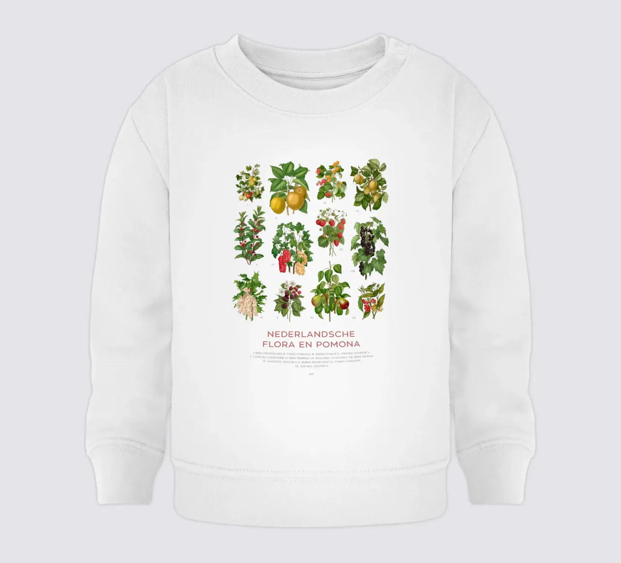 Grafico botanico moderno - Flora olandese felpa neonato da Vintagrafica