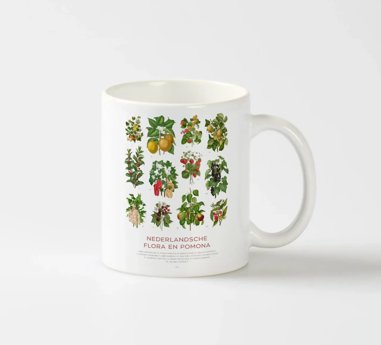 Grafico botanico moderno - Flora olandese tazza in ceramica da Vintagrafica