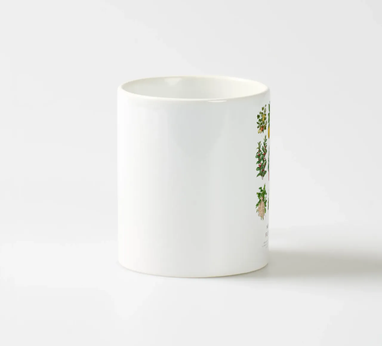 Grafico botanico moderno - Flora olandese tazza in ceramica da Vintagrafica