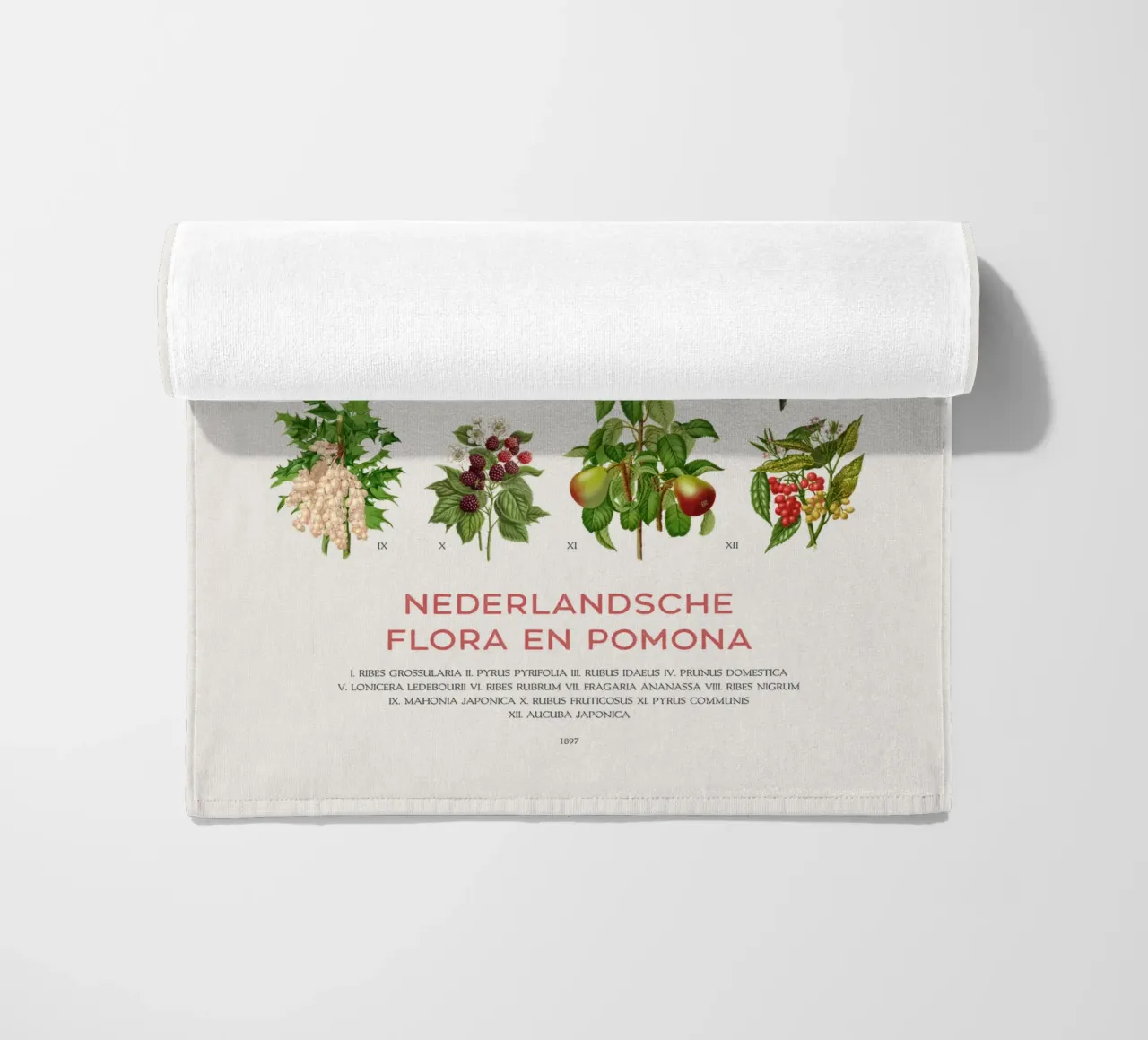 Grafico botanico moderno - Flora olandese telo mare da Vintagrafica