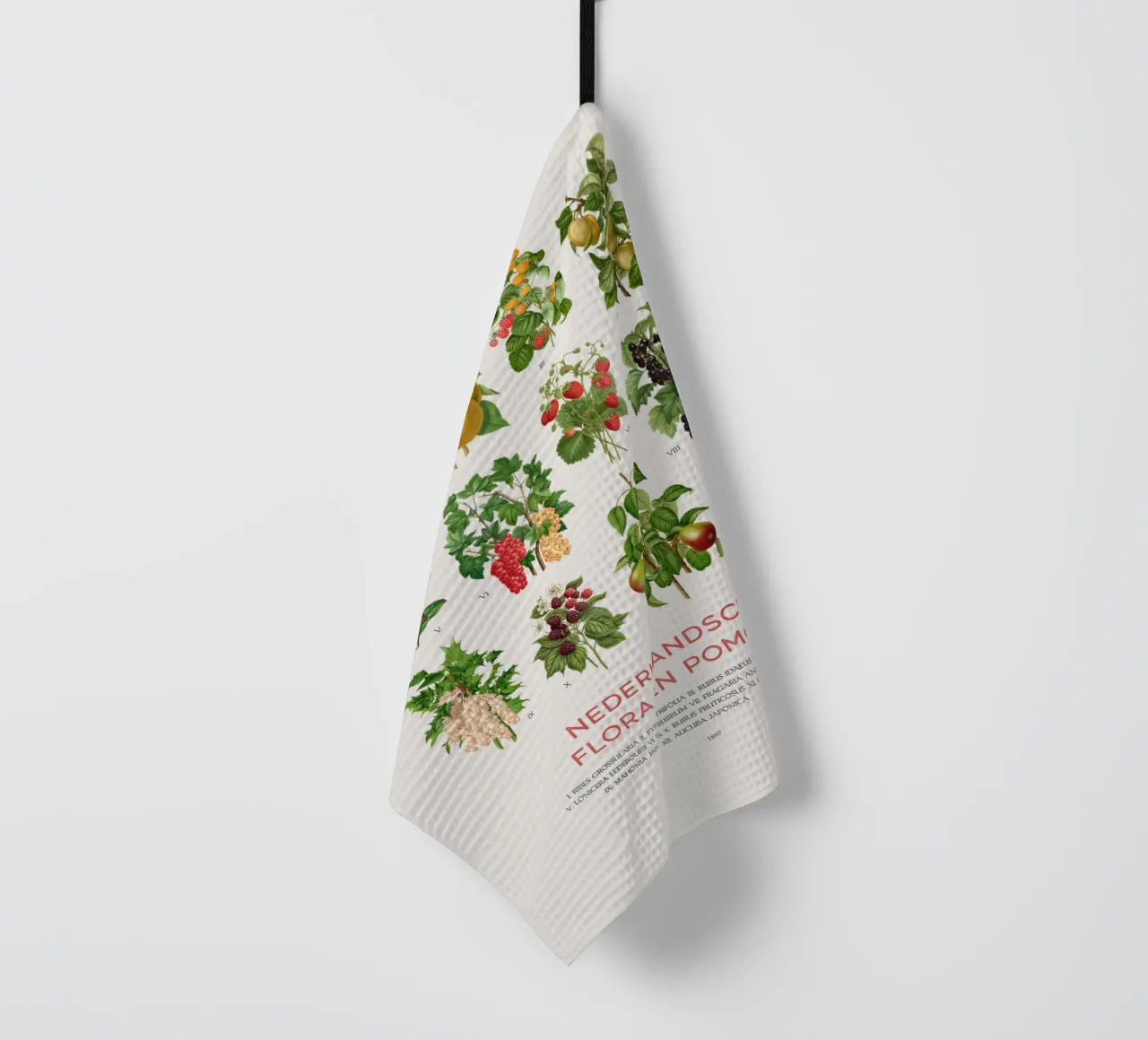 Grafico botanico moderno - Flora olandese canovaccio da cucina da Vintagrafica