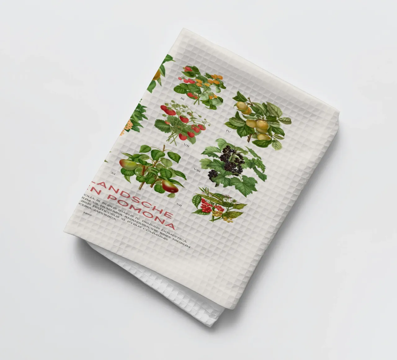 Grafico botanico moderno - Flora olandese canovaccio da cucina da Vintagrafica