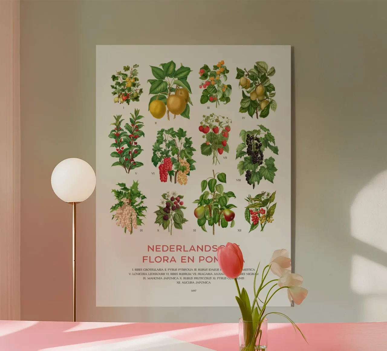 Grafico botanico moderno - Flora olandese plexiglass da Vintagrafica