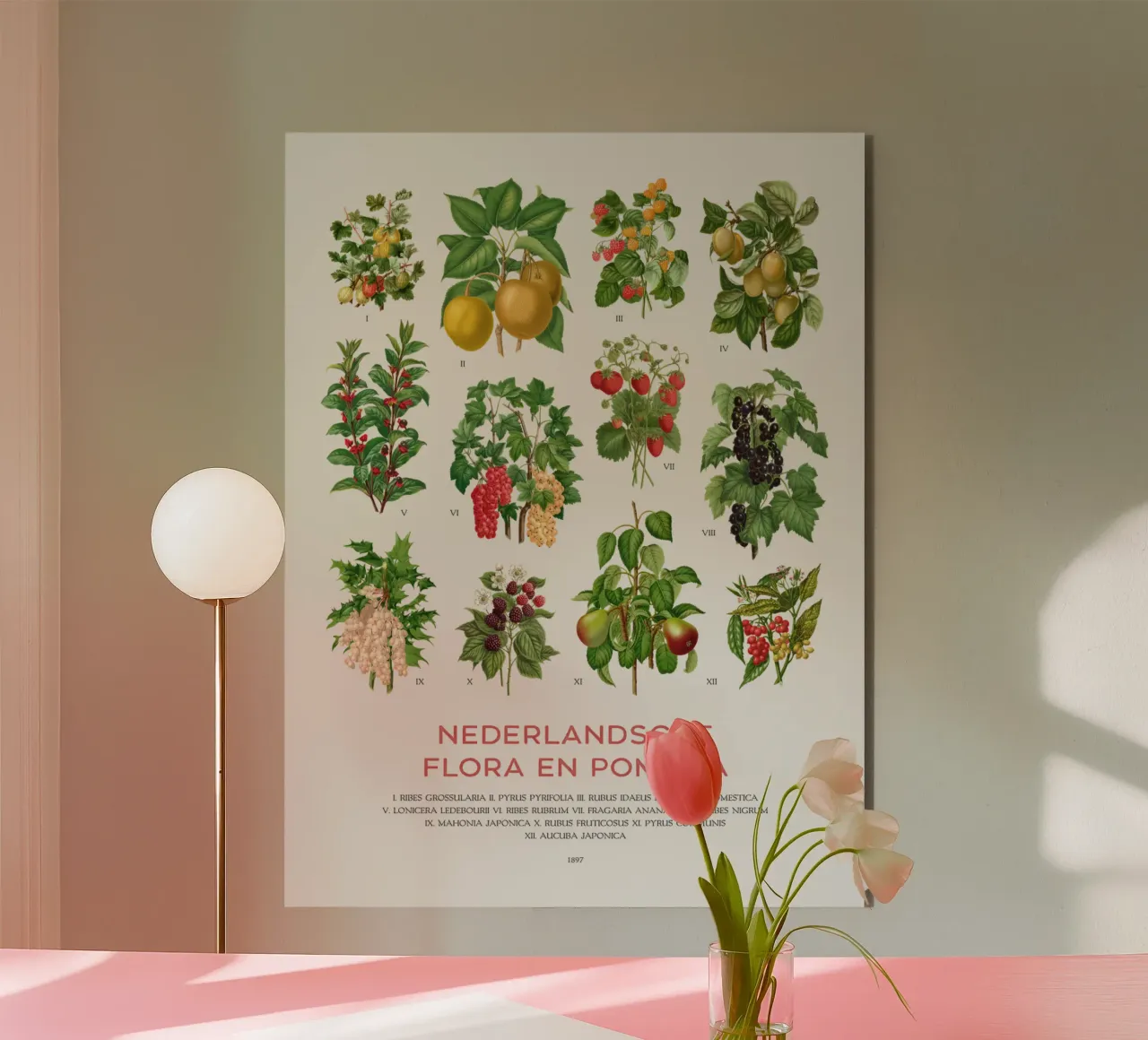 Grafico botanico moderno - Flora olandese alluminio dibond da Vintagrafica