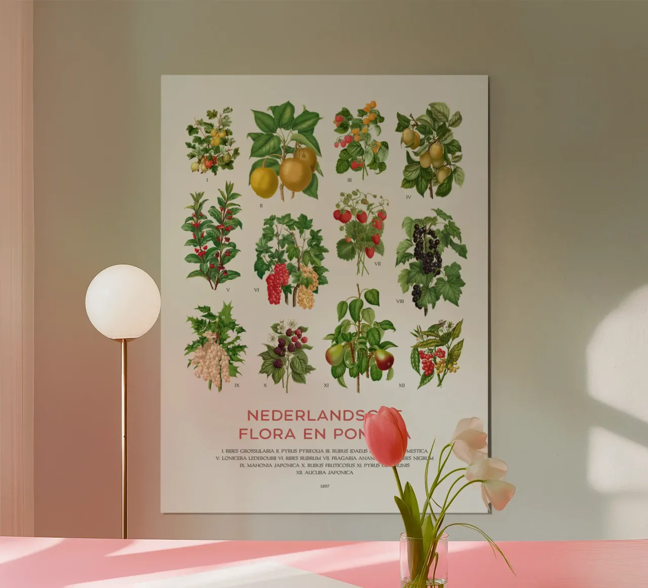 Grafico botanico moderno - Flora olandese carta hahnemühle da Vintagrafica