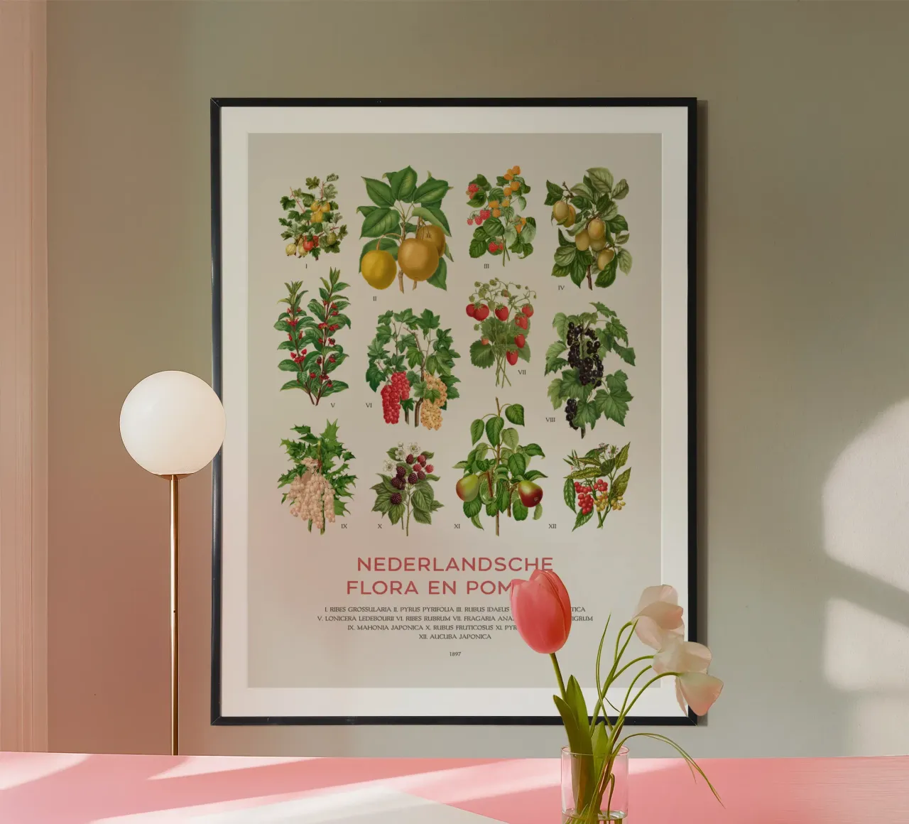Grafico botanico moderno - Flora olandese carta hahnemühle da Vintagrafica