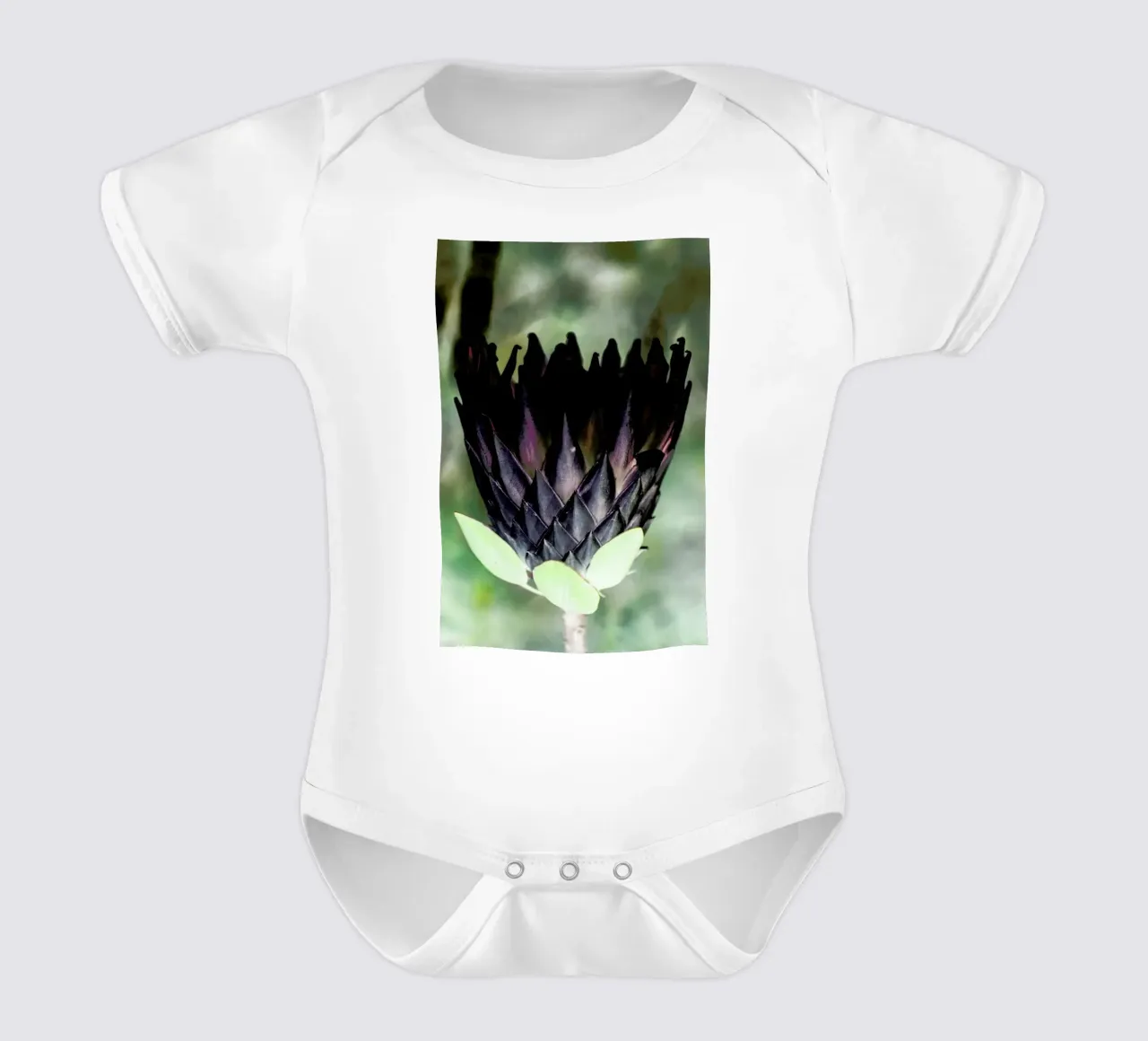 King Protea 1 body neonato maniche corte da Shot By Clint
