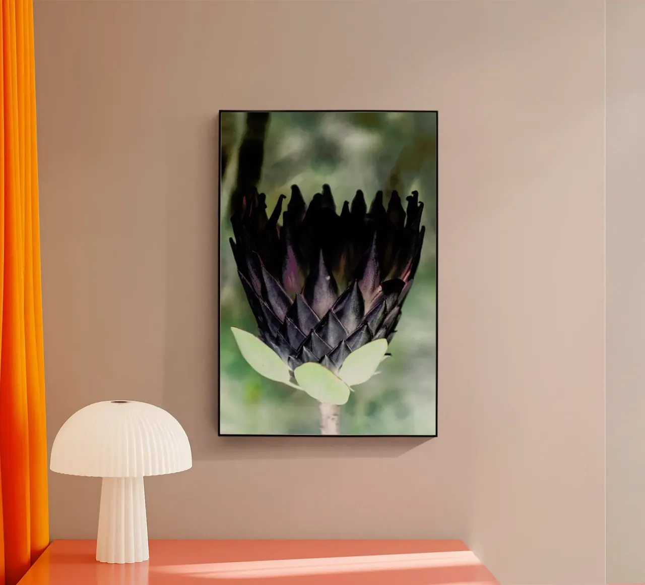 King Protea 1 plexiglass da Shot By Clint