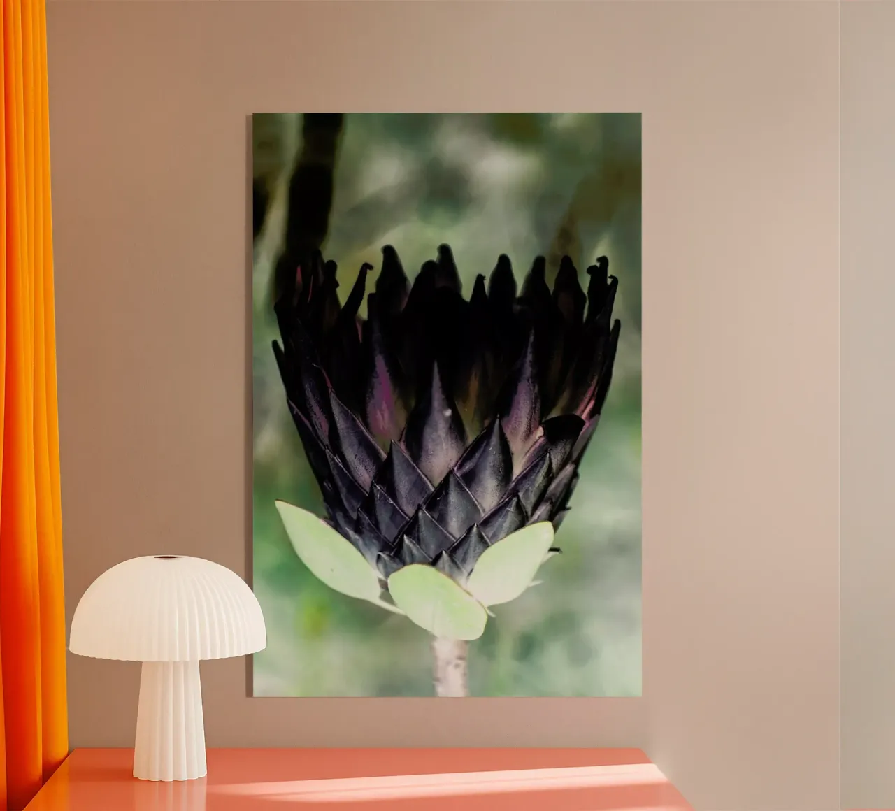 King Protea 1 plexiglass da Shot By Clint