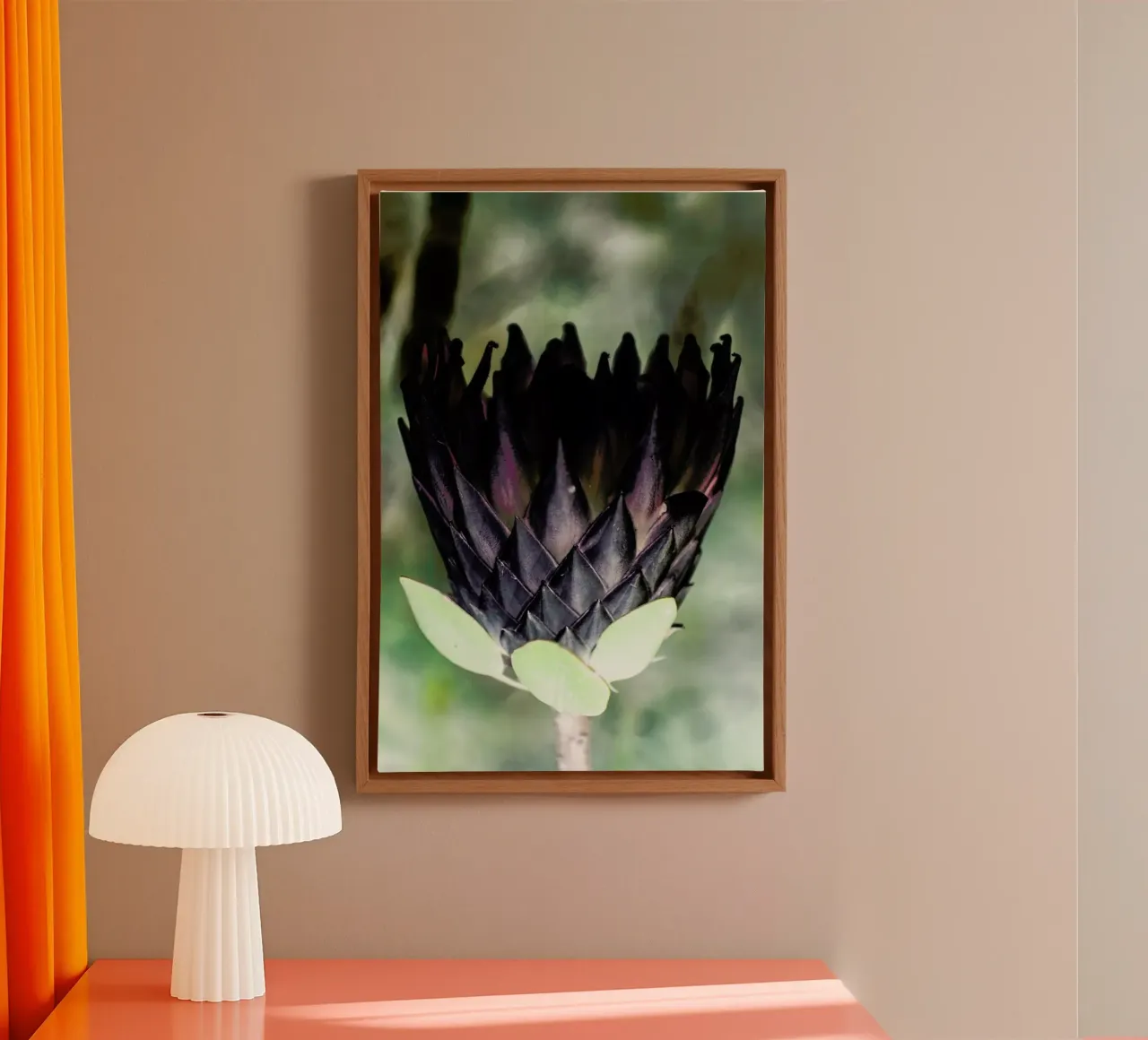 King Protea 1 canvas with Floater frame by Shot By Clint