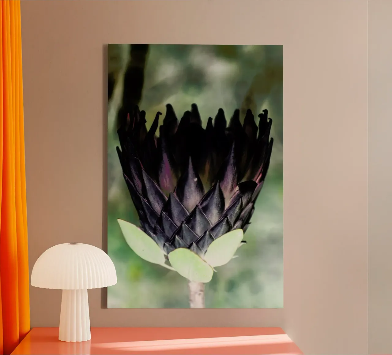 King Protea 1 canvas with Floater frame by Shot By Clint