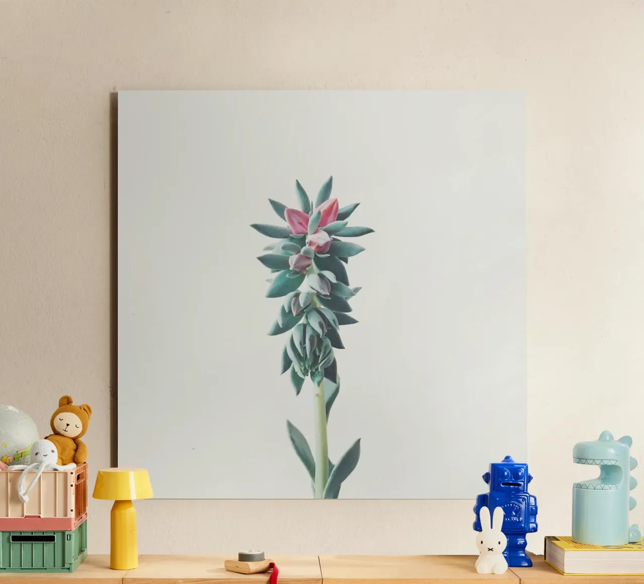 Succulente fiorite alluminio dibond da Cassia Beck Photography