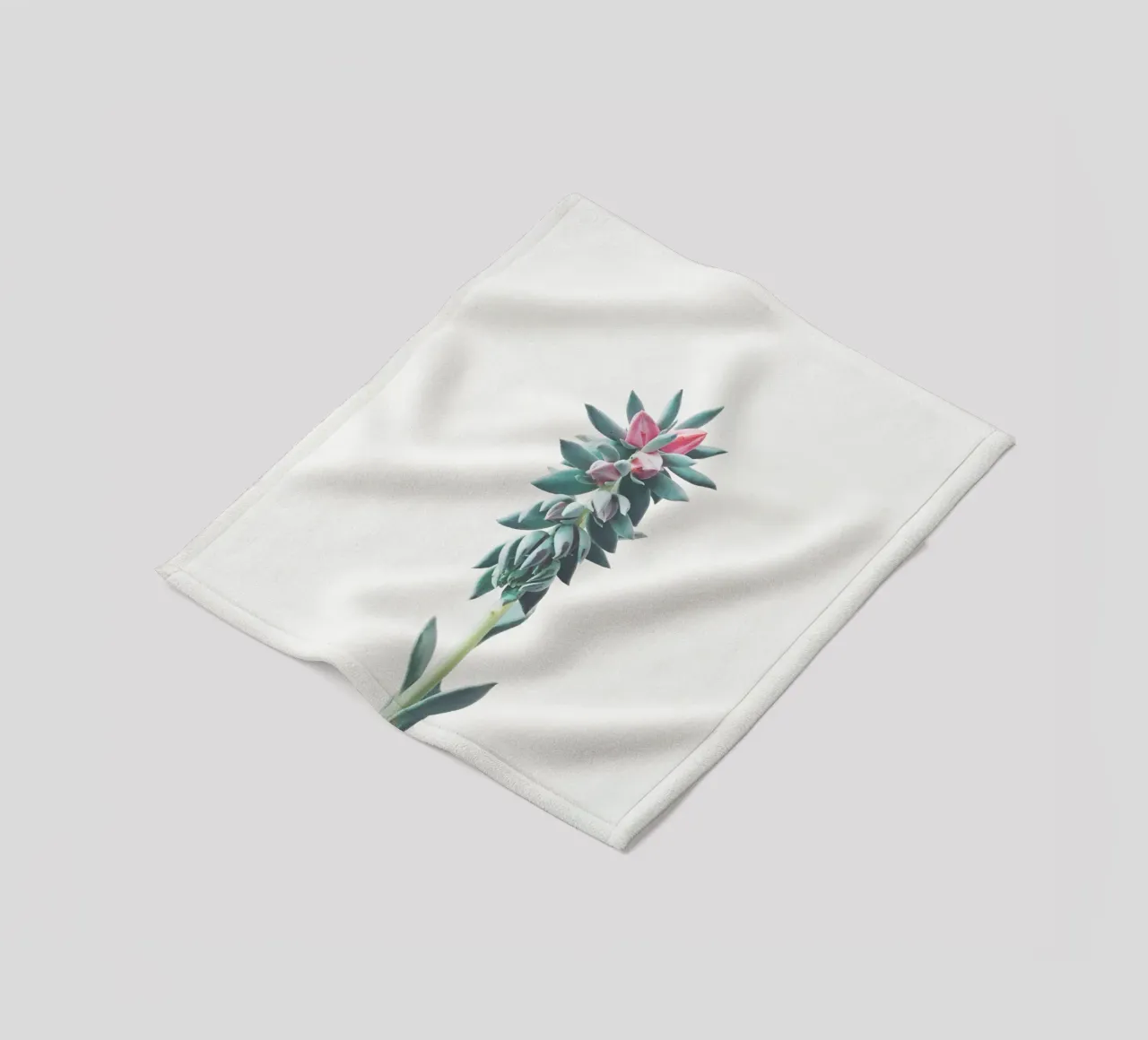 Succulente fiorite coperta in pile da Cassia Beck Photography