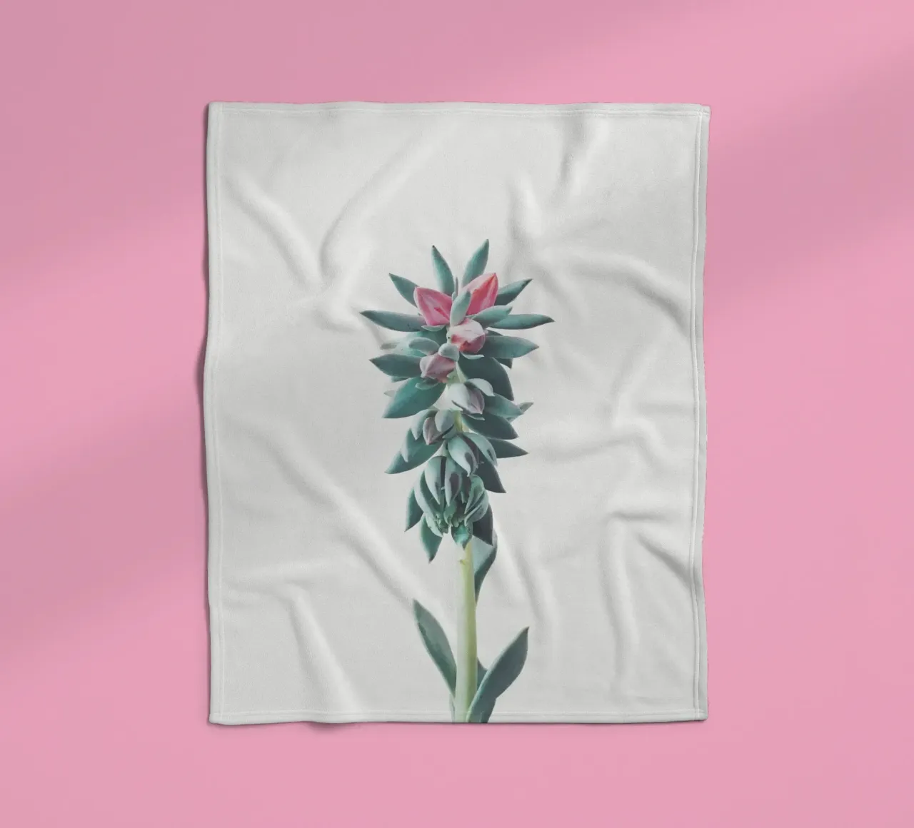 Succulente fiorite coperta in pile da Cassia Beck Photography