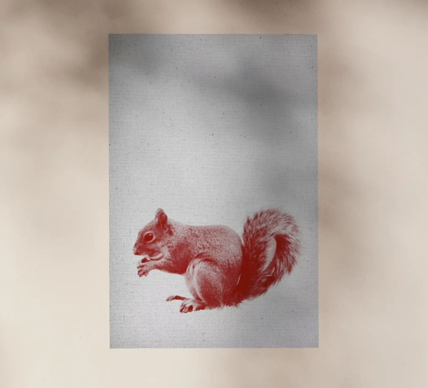 Squirrel backlit film by Froilein Juno