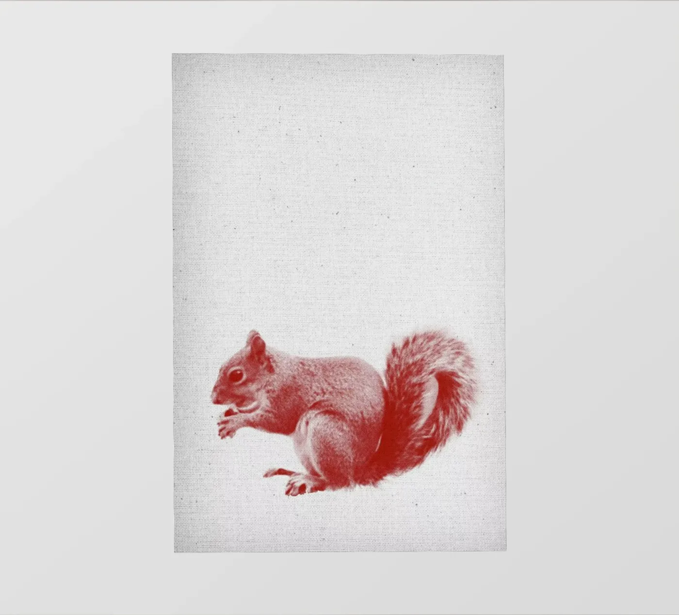 Squirrel backlit film by Froilein Juno