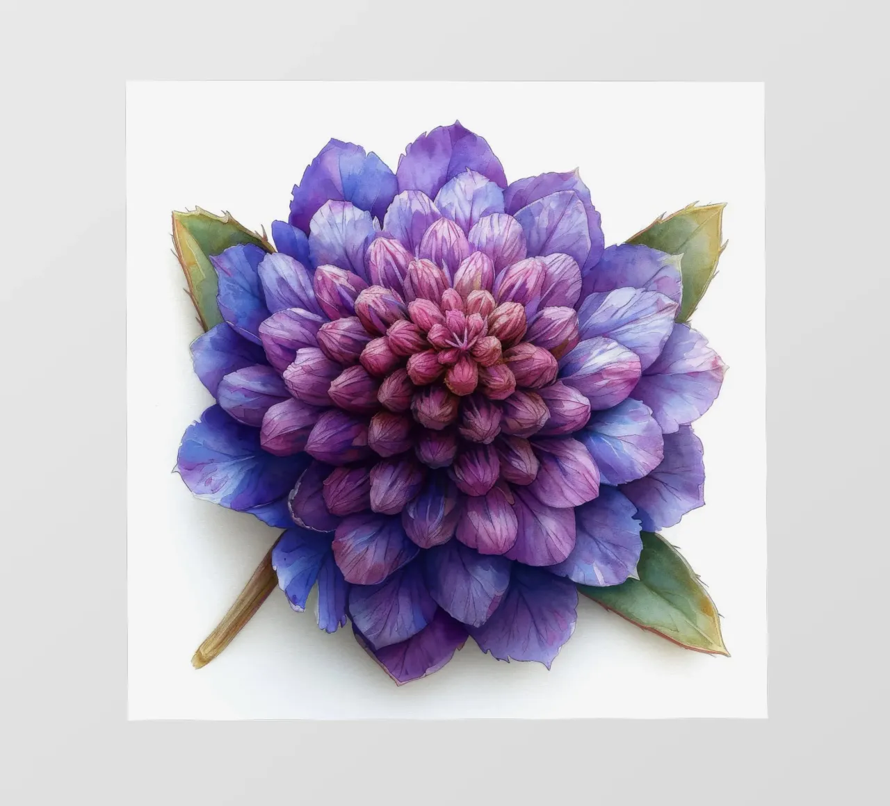 Fiore di amaranto 2 telo in pvc da Bold Blooms