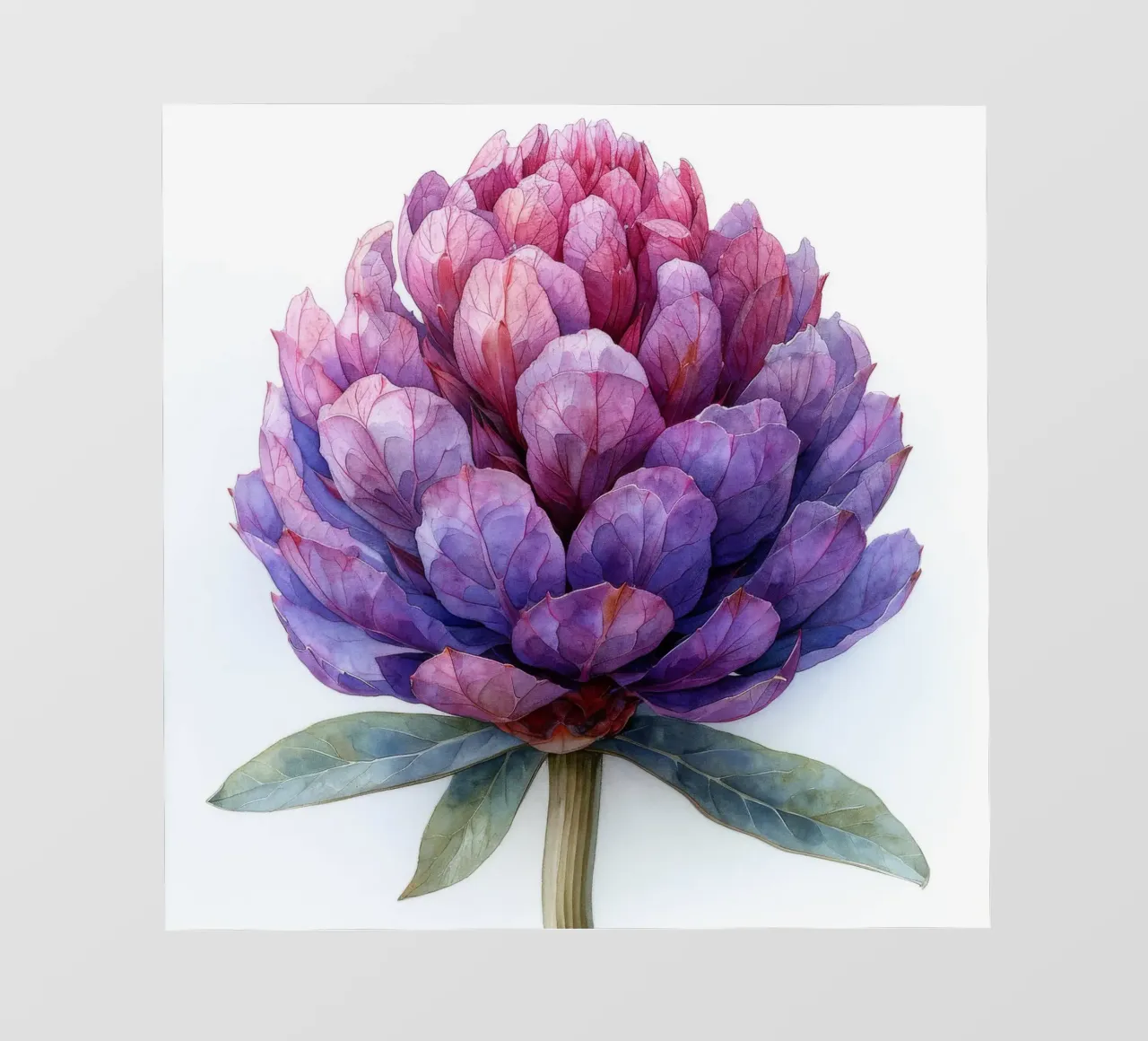 Fiore di amaranto 4 telo in pvc da Bold Blooms