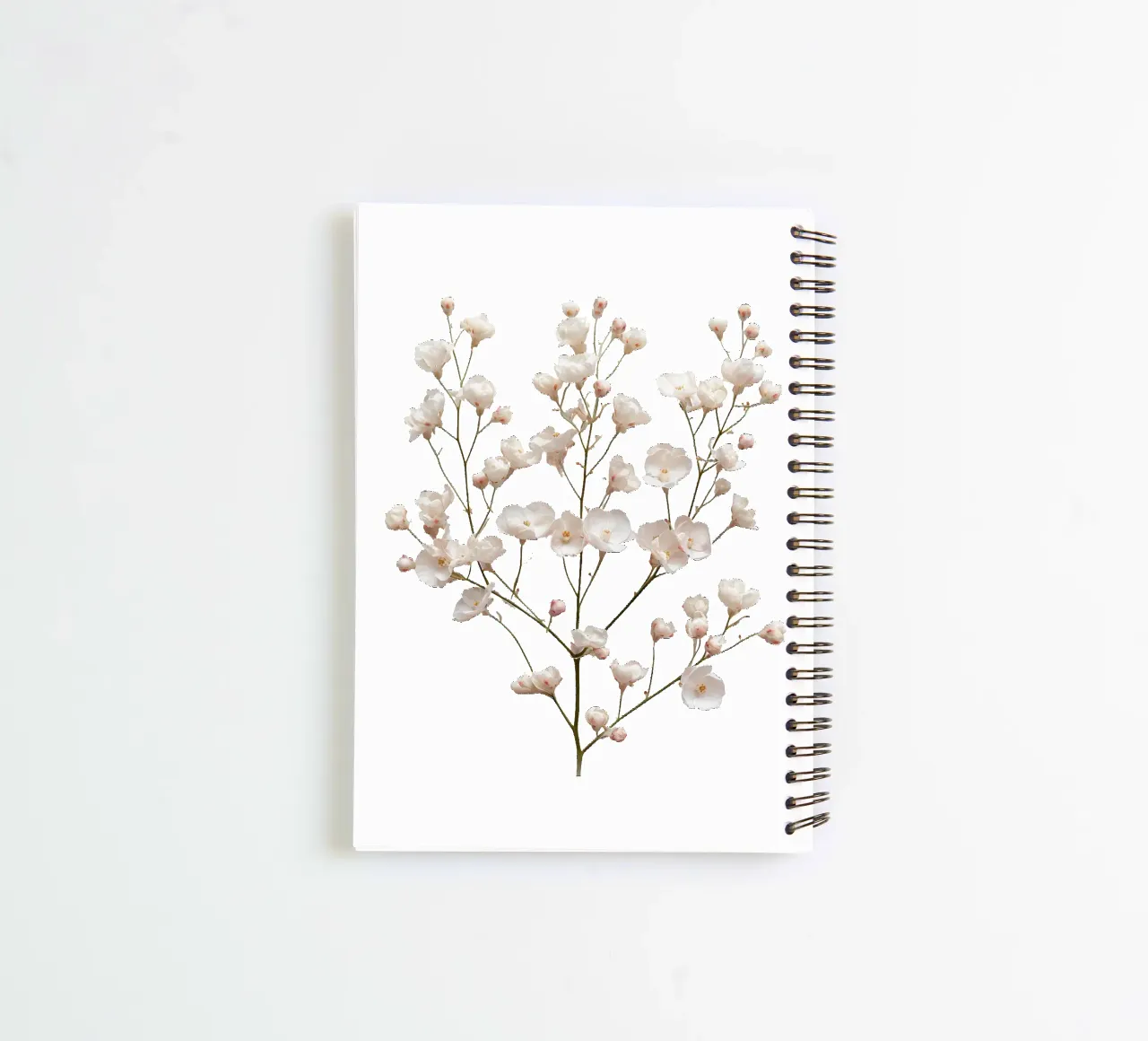 Gypsophila Babys Breath Flower 4 spiral notebook by Bold Blooms