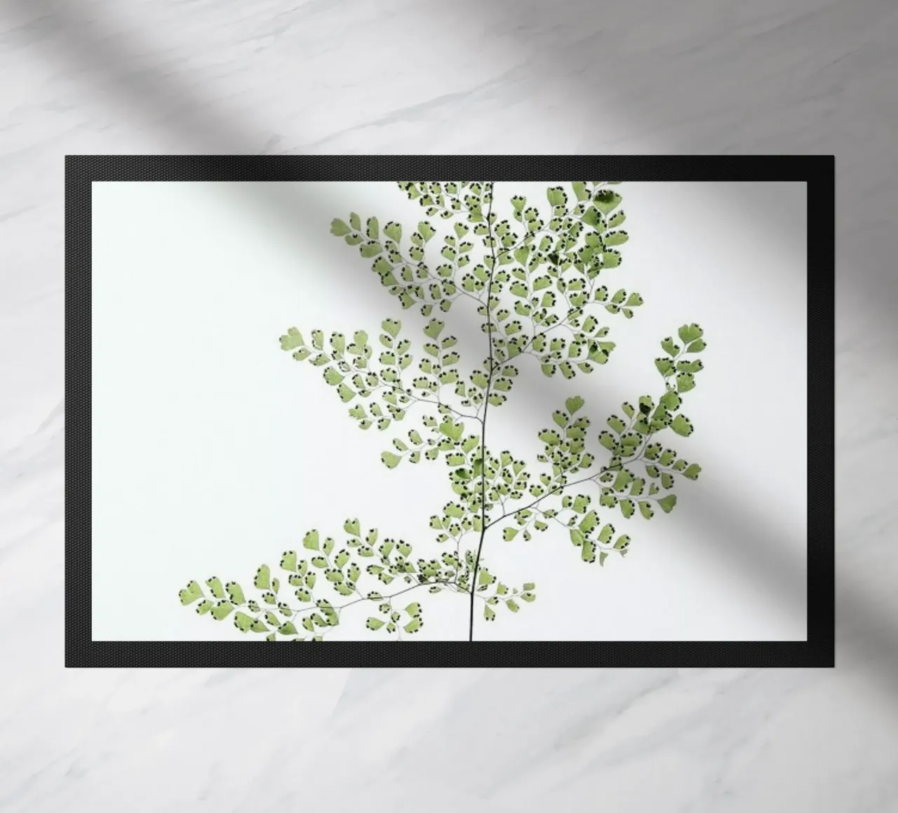 Leaf Study 6 zerbino da Shot By Clint