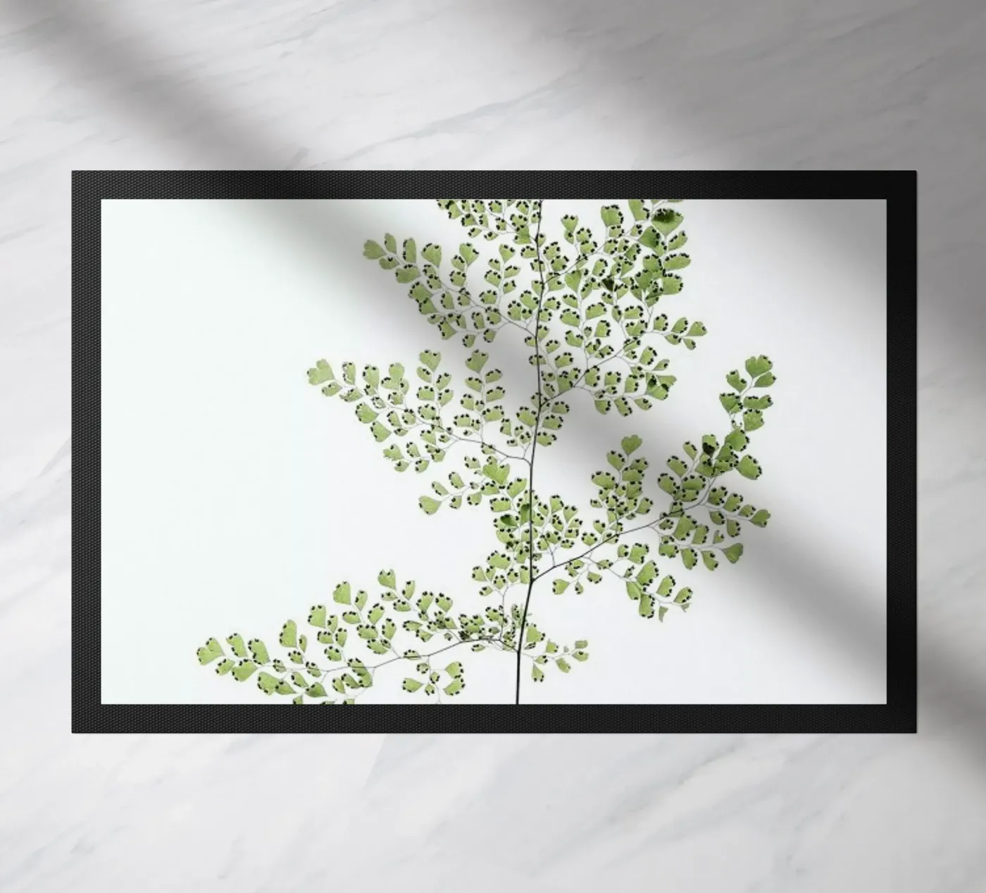 Leaf Study 6 zerbino da Shot By Clint