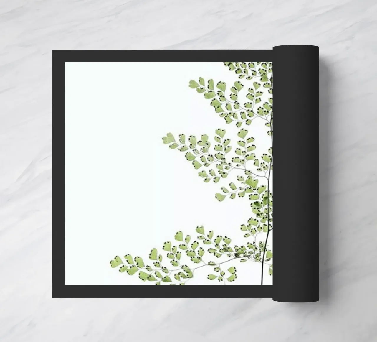 Leaf Study 6 zerbino da Shot By Clint