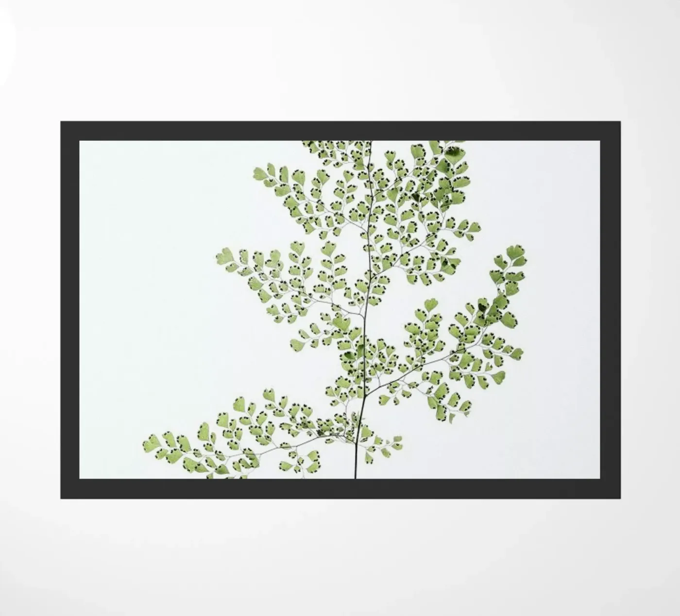 Leaf Study 6 deurmat van Shot By Clint