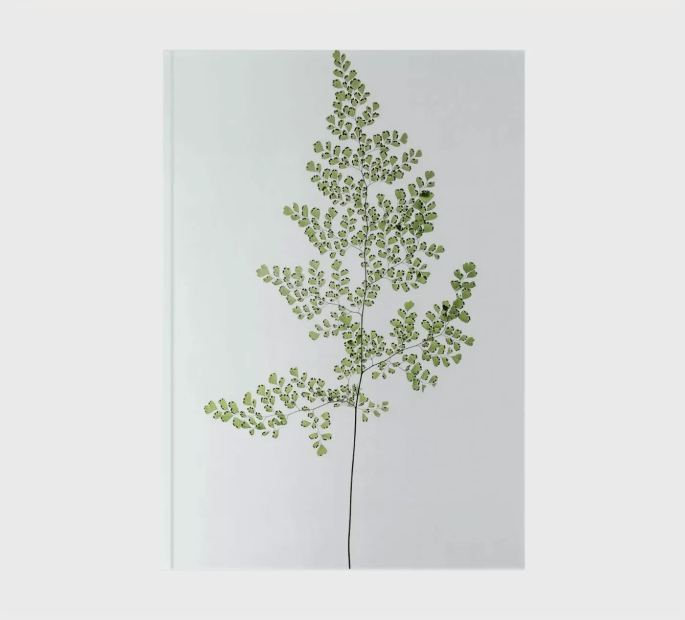 Leaf Study 6 notebook by Shot By Clint
