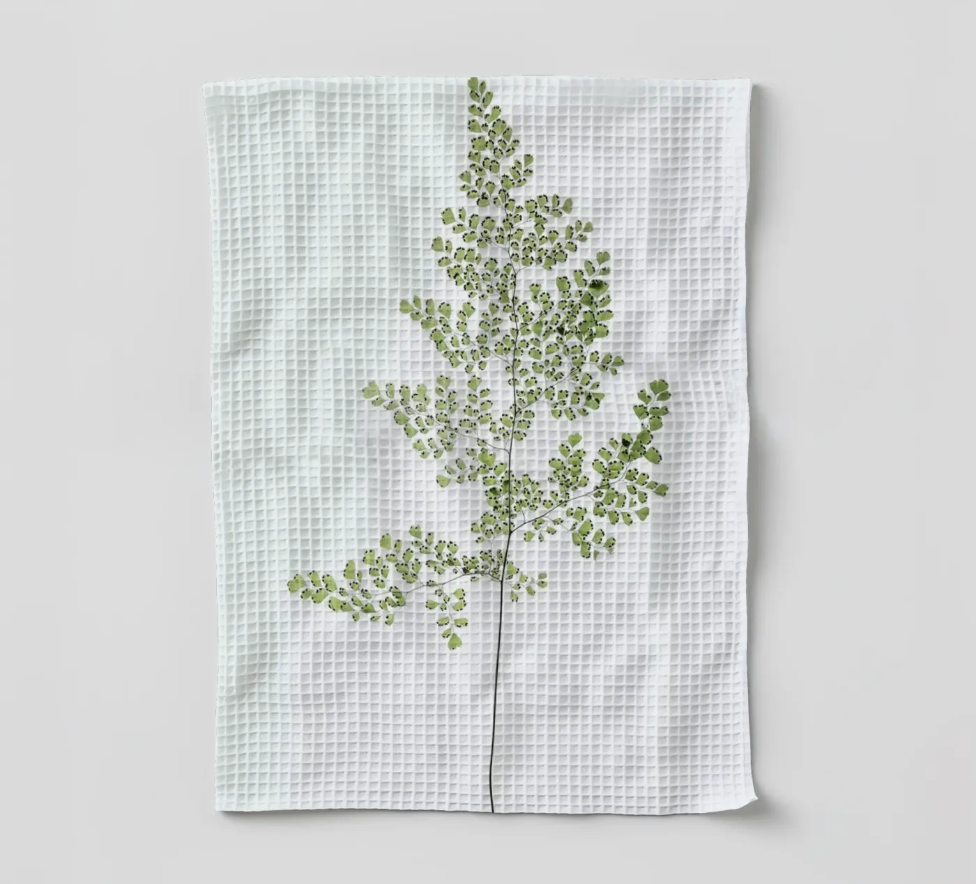 Leaf Study 6 Geschirrtuch von Shot By Clint