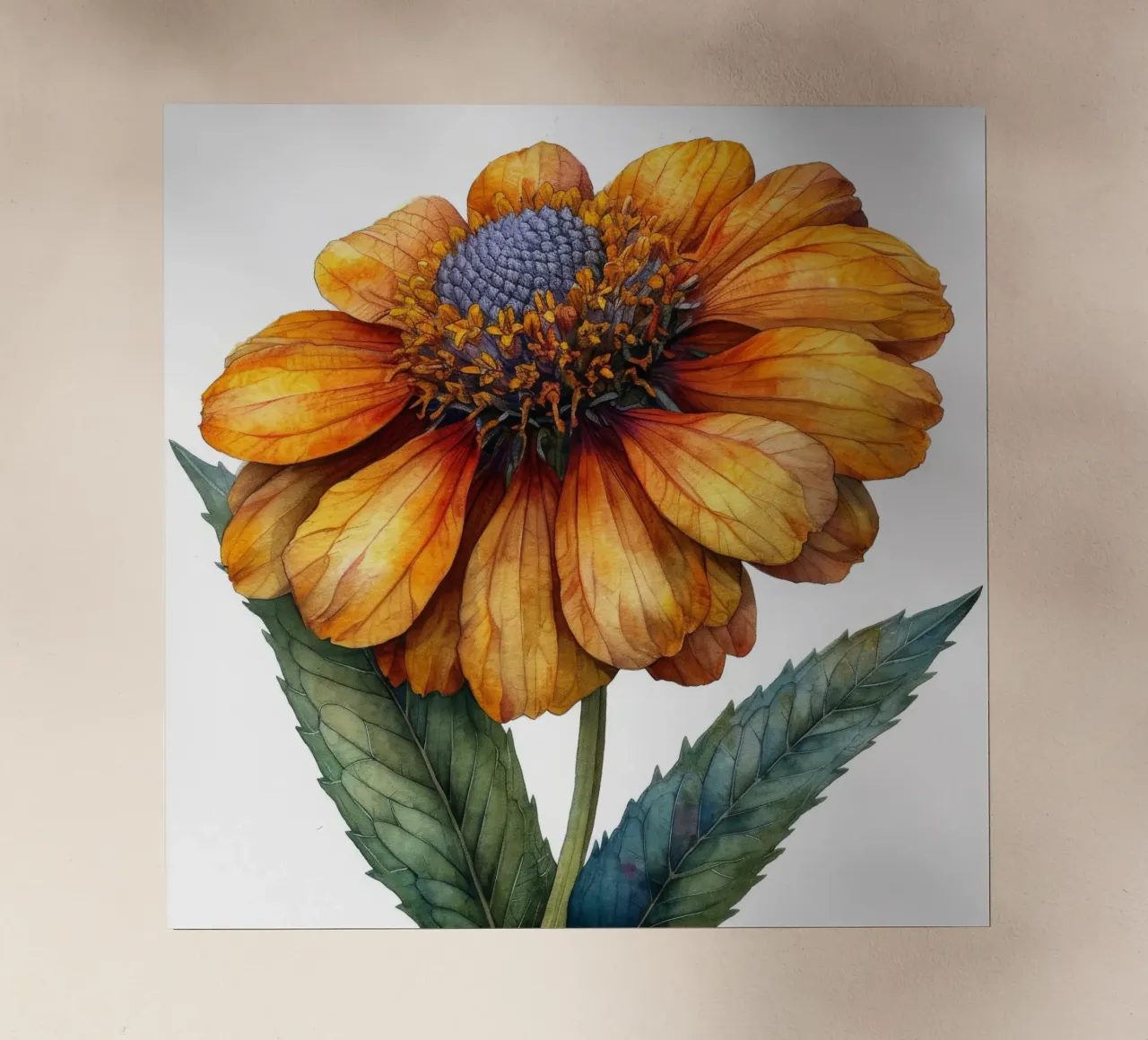 Fiore di Helenium 4 pellicola backlit da Bold Blooms