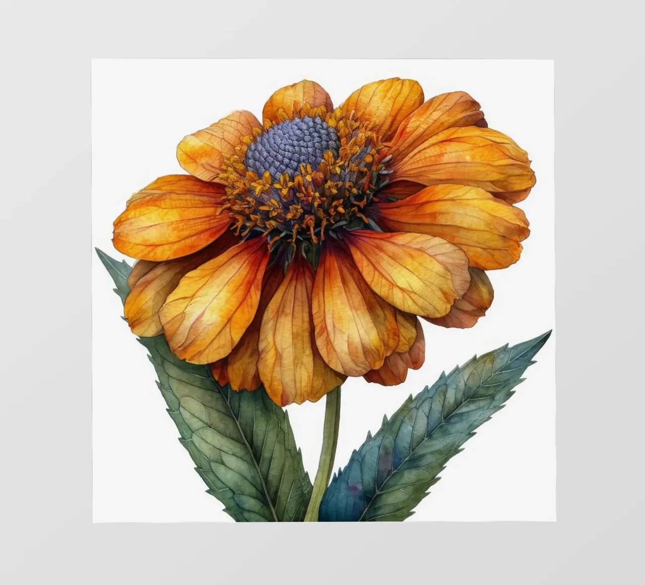 Fiore di Helenium 4 pellicola backlit da Bold Blooms