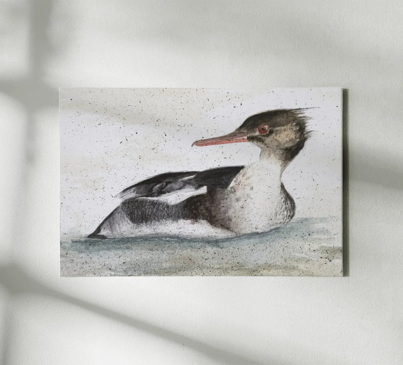 Smient mannetje "Mergus serrator canvas met Baklijst van Barbara Buderath Illustrationen