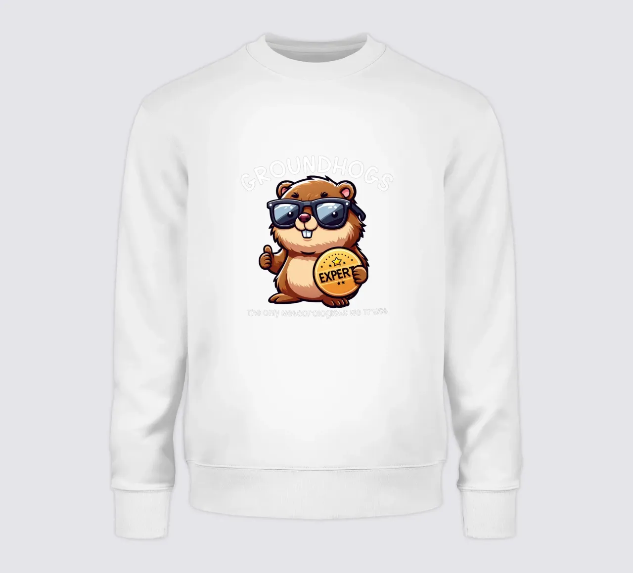 Expert GROUNDHOGS. The only meteorologists we trust. felpa da edsonramosart