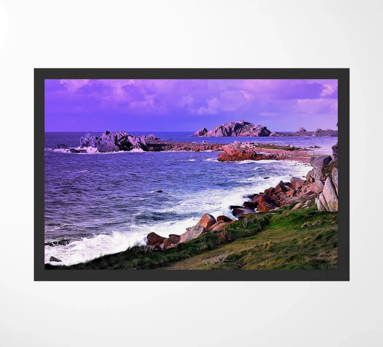 FAA201 zerbino da Thierry vobmann photography