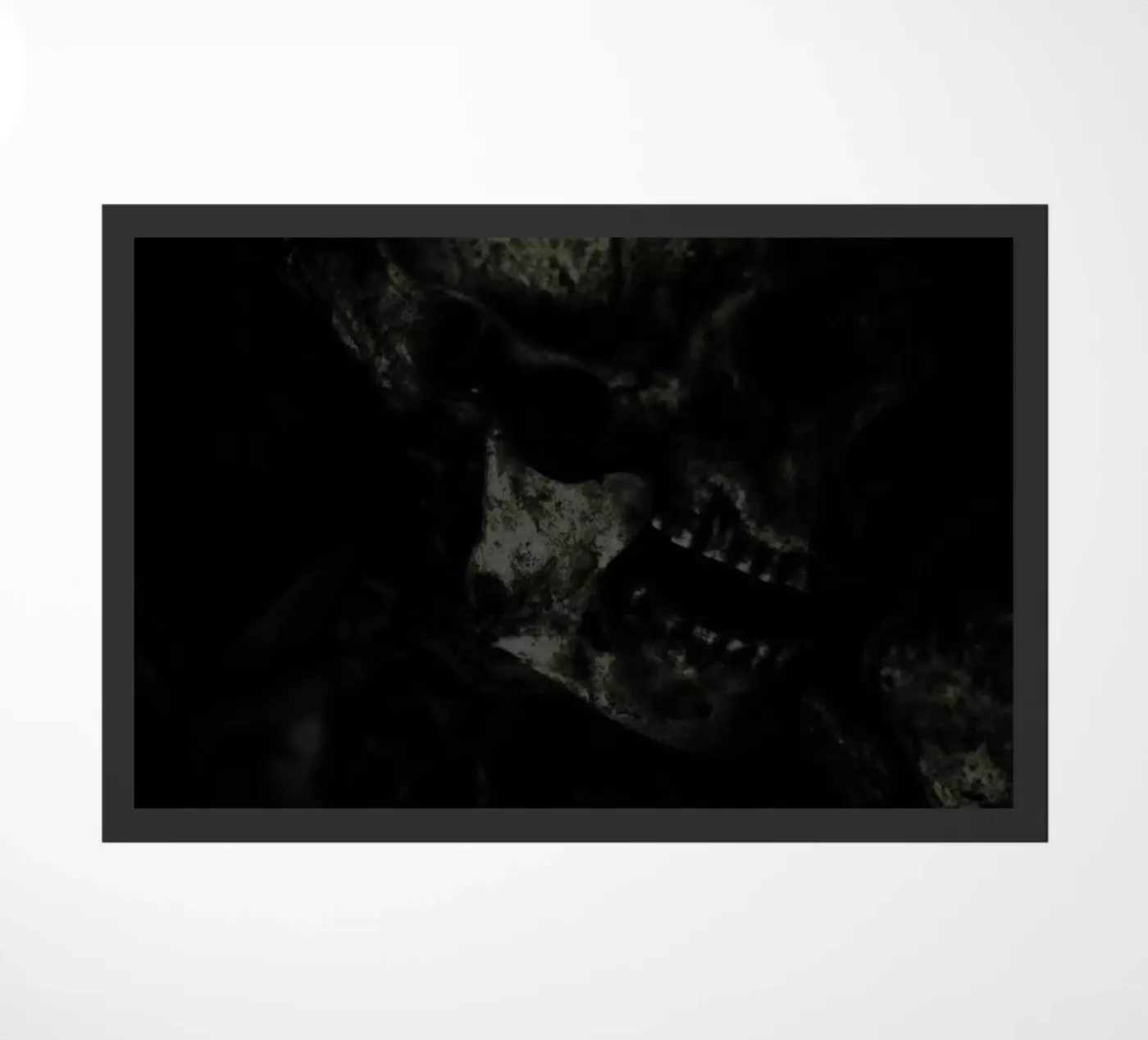 Skull zerbino da Shot By Clint