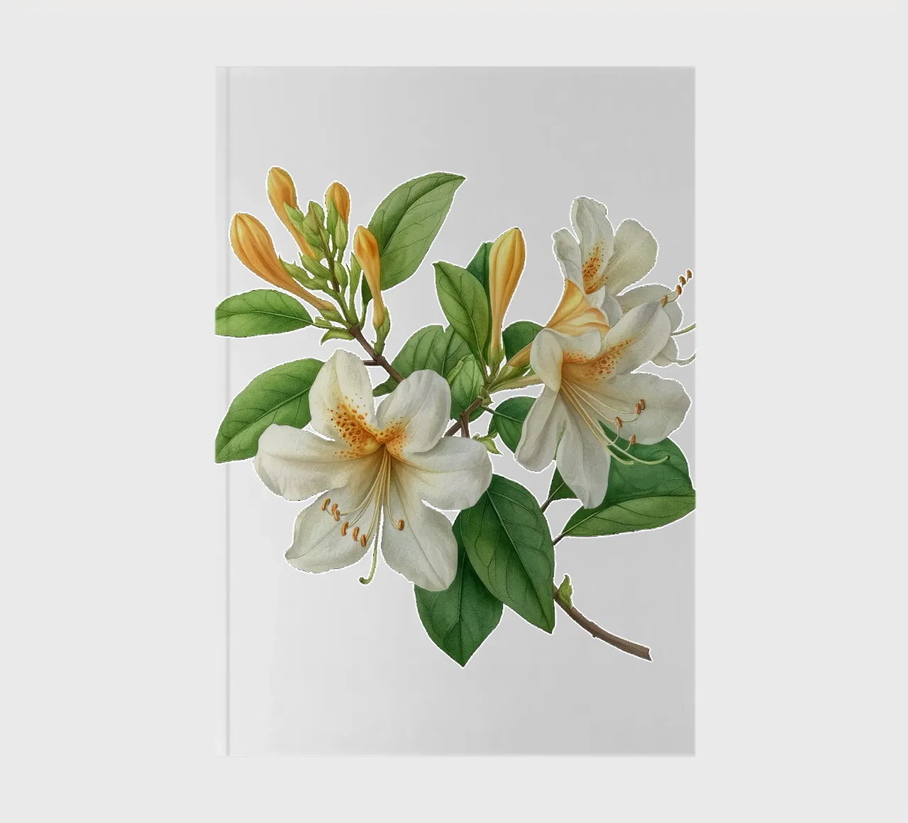 Honeysuckle Flower 4 notebook by Bold Blooms