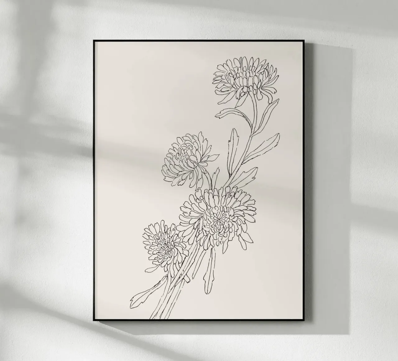 Chrysanths Sketch no. 2 plexiglass da apoloprints