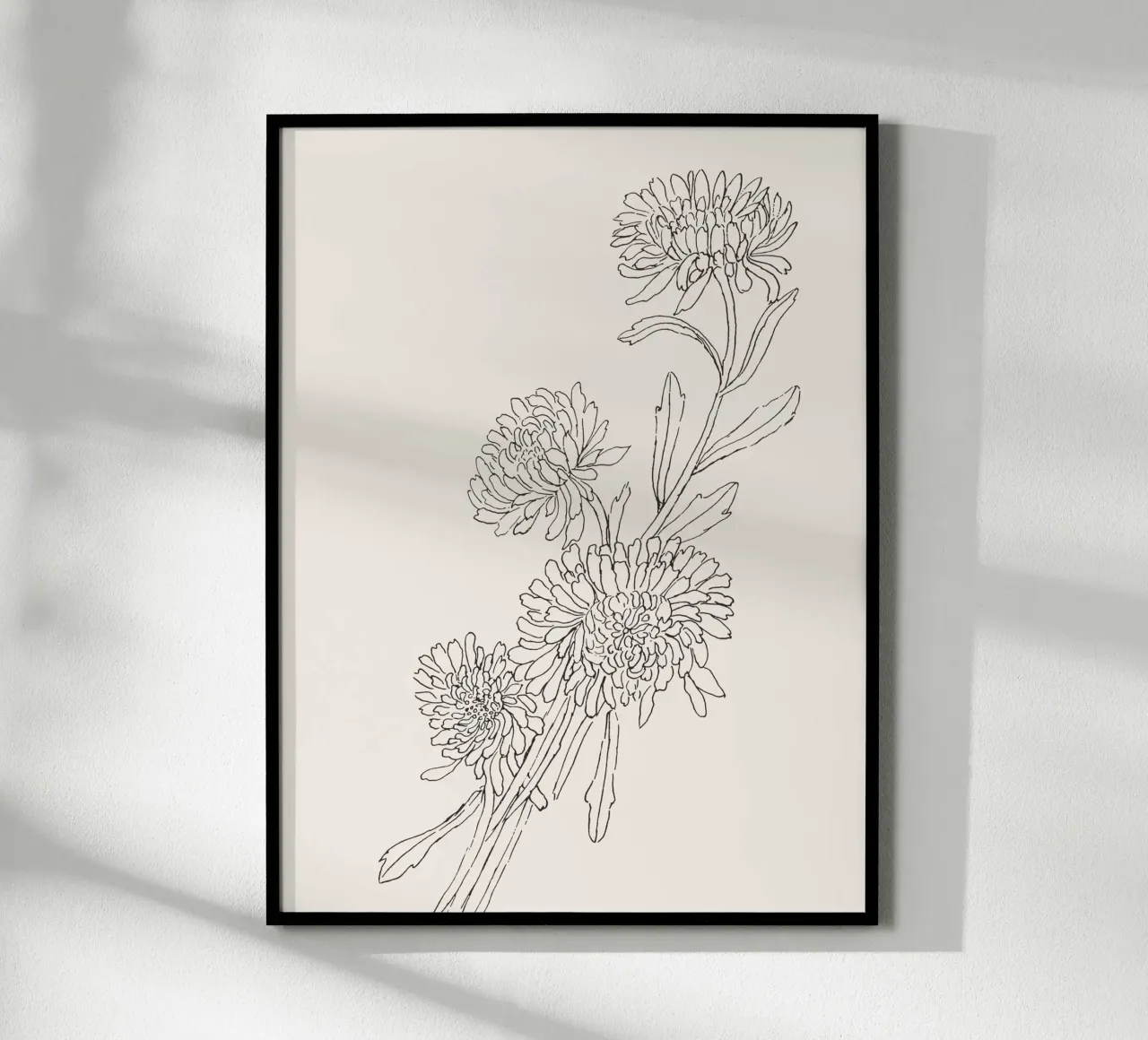 Chrysanths Sketch no. 2 carta hahnemühle da apoloprints