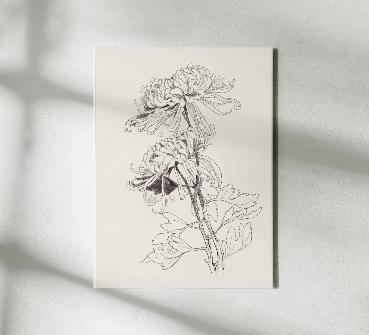 Chrysanths Sketch no. 1 tela con Cornice a cassetta da apoloprints