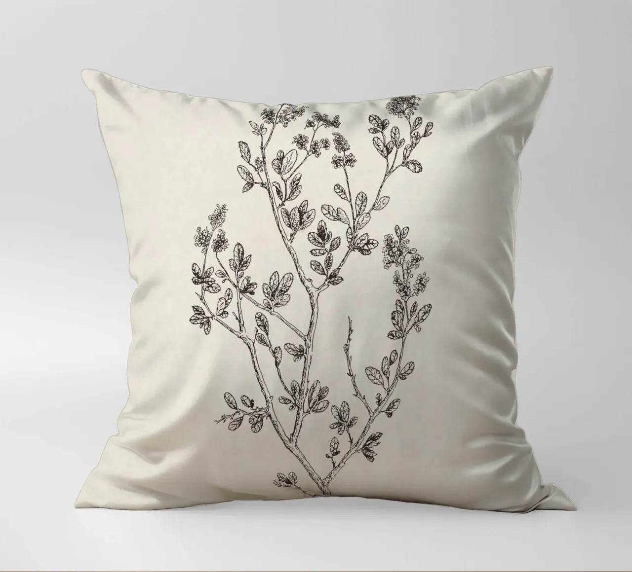 Ceanothus Wildflower Sketch no. 1 cuscino da apoloprints