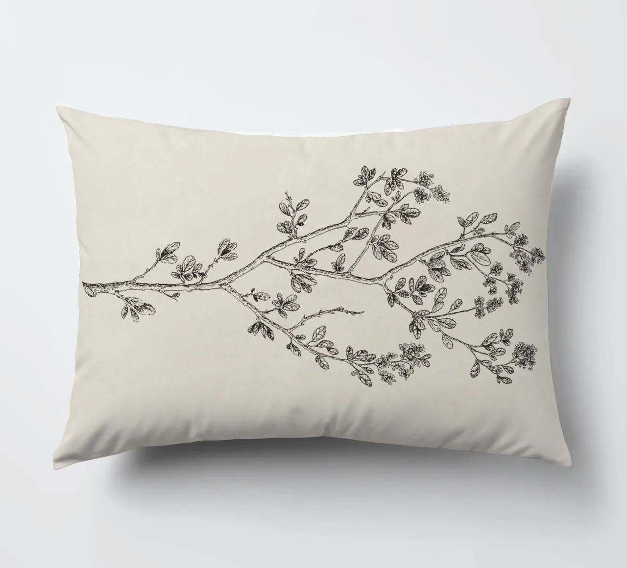 Ceanothus Wildflower Sketch no. 1 cuscino da apoloprints