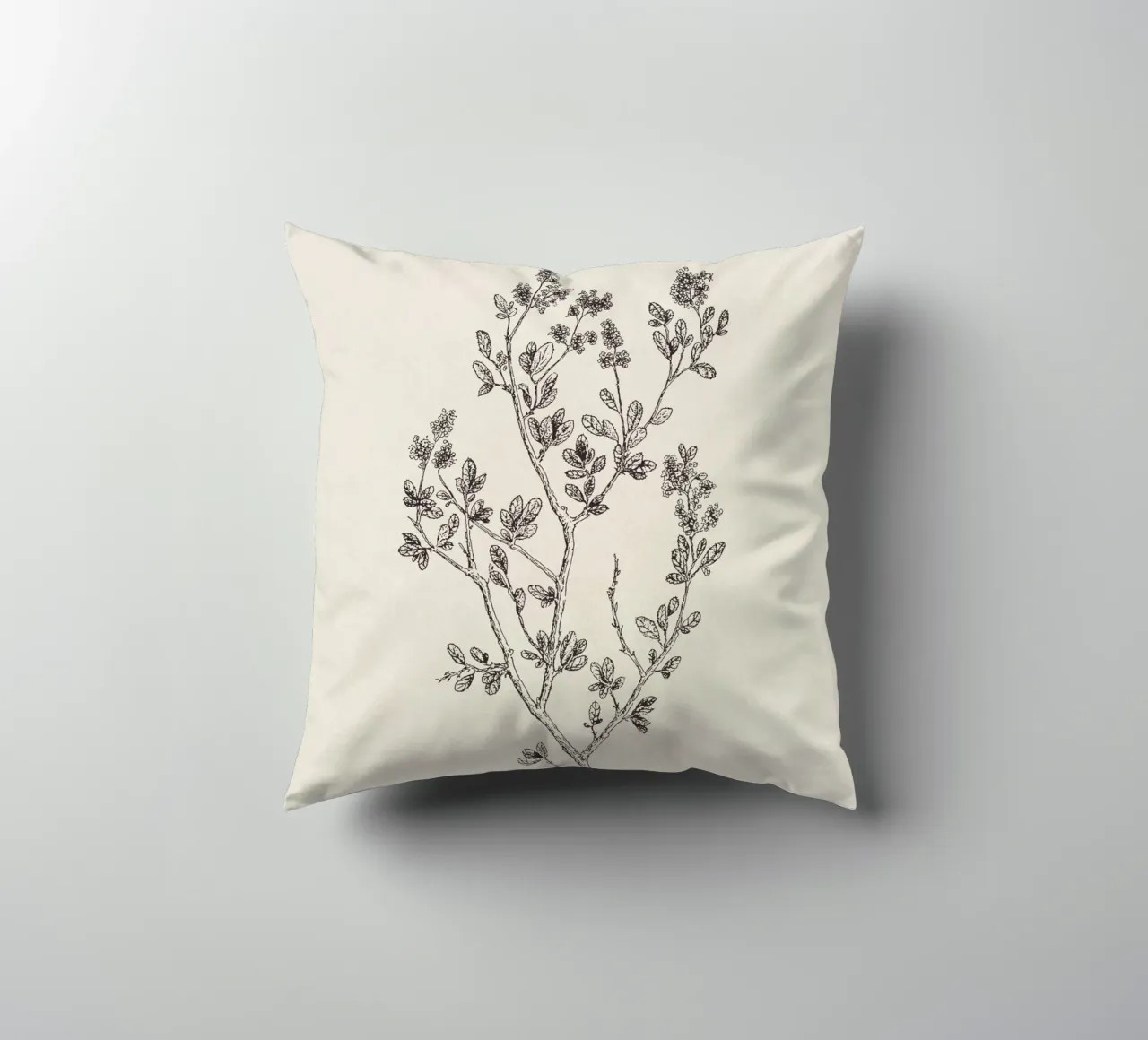 Ceanothus Wildflower Sketch no. 1 cuscino da apoloprints