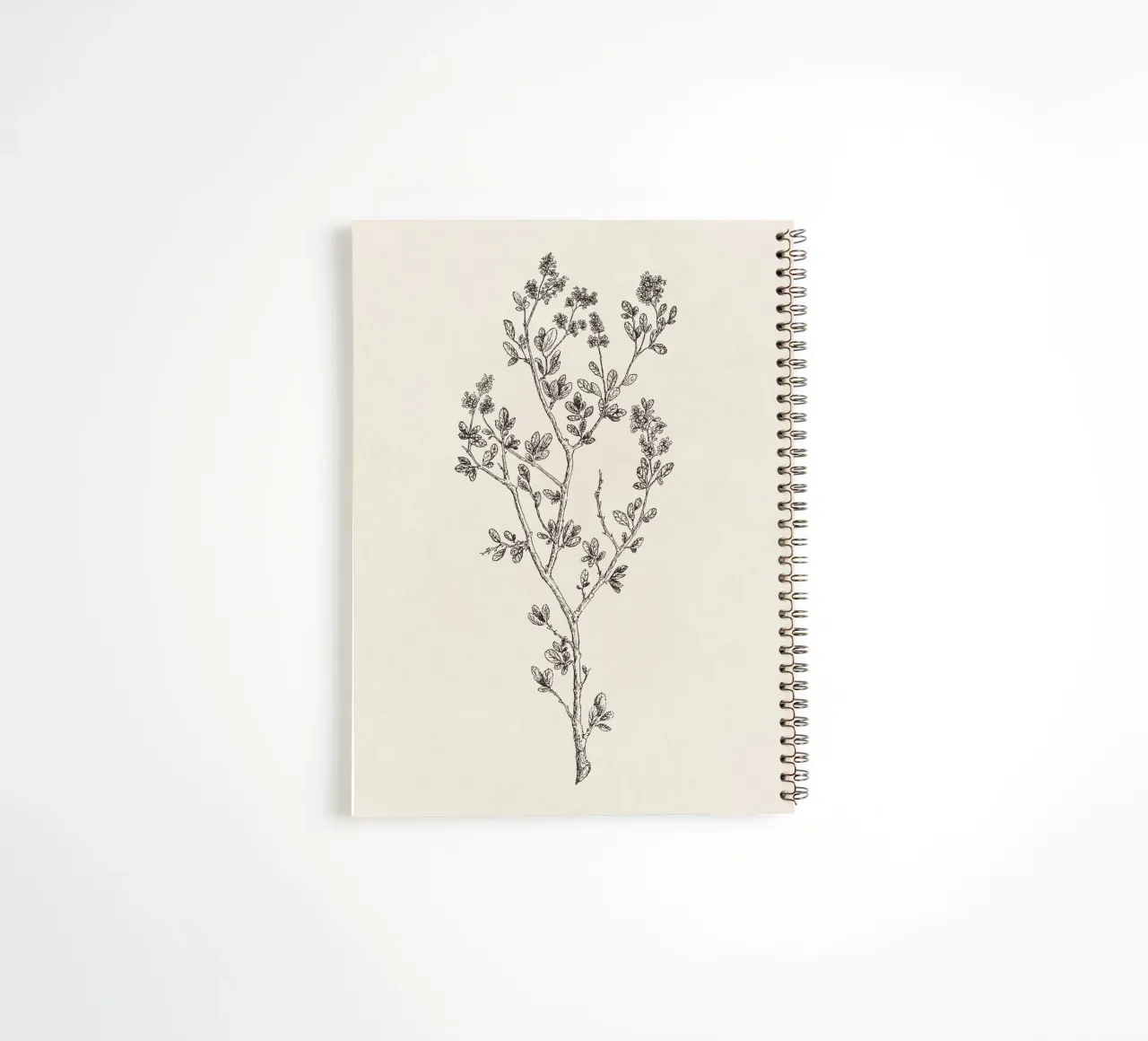 Ceanothus Wildflower Sketch no. 1 spiral notebook by apoloprints