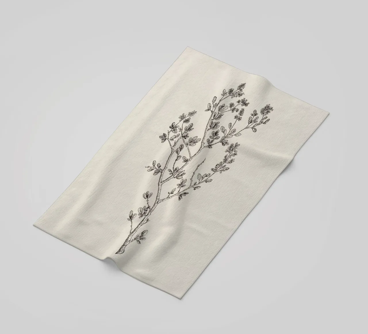 Ceanothus Wildflower Sketch no. 1 telo mare da apoloprints