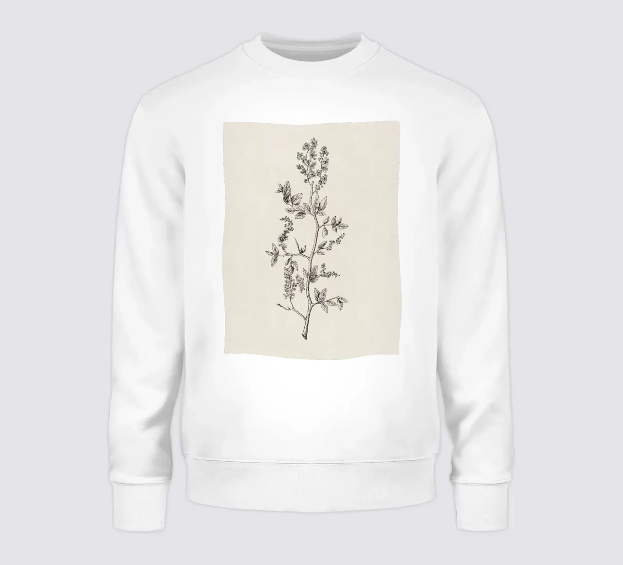 Ceanothus Wildflower Sketch no. 2 felpa da apoloprints