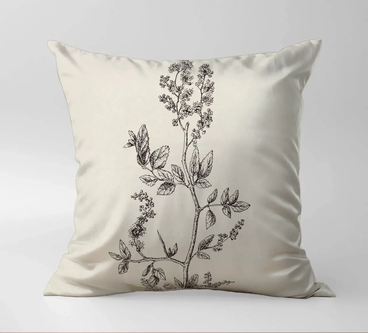 Ceanothus Wildflower Sketch no. 2 cuscino da apoloprints